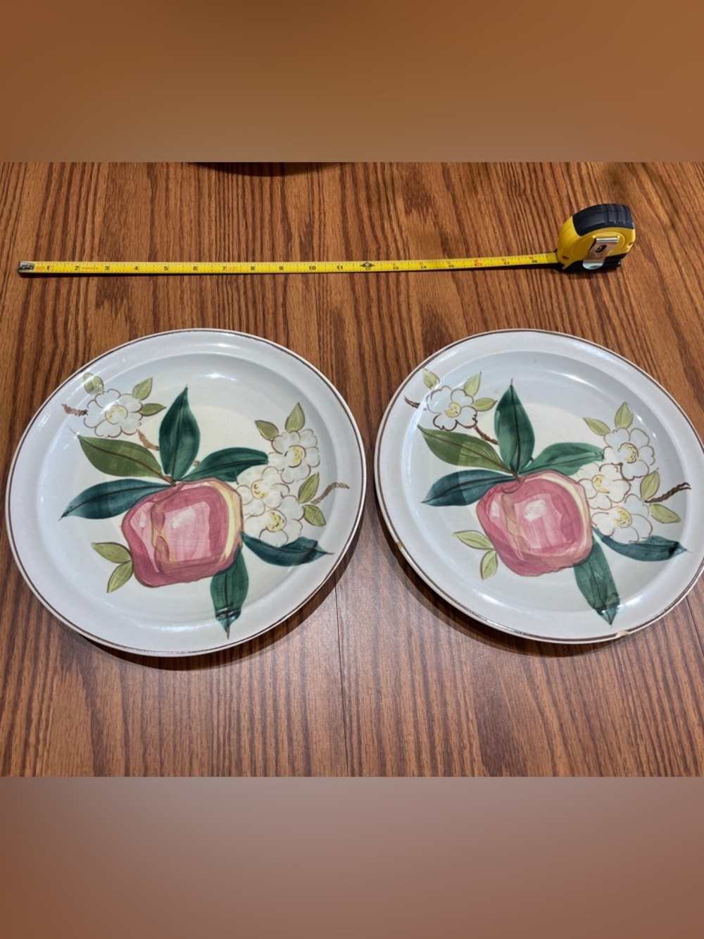 Red wing Dinner Plates Normandy pattern - Pink/Green (Set of 2)